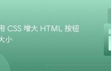 如何使用 CSS 增大 HTML 按钮的字体大小