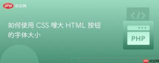 如何使用 CSS 增大 HTML 按钮的字体大小