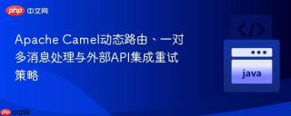 Apache Camel动态路由、一对多消息处理与外部API集成重试策略