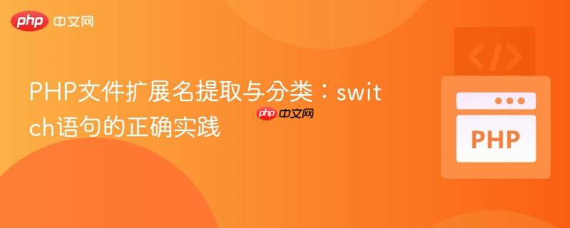 PHP文件扩展名提取与分类：switch语句的正确实践