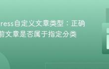 WordPress自定义文章类型:正确检查当前文章是否属于指定分类术语