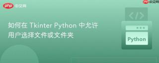 如何在 Tkinter Python 中允许用户选择文件或文件夹