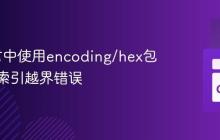 Go语言中使用encoding/hex包时避免索引越界错误