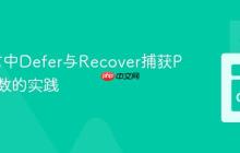 Go语言中Defer与Recover捕获Panic参数的实践