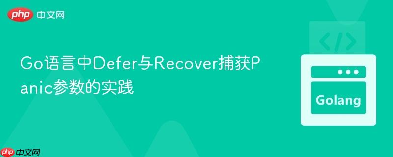 Go语言中Defer与Recover捕获Panic参数的实践
