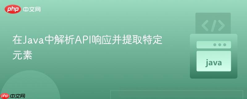 在Java中解析API响应并提取特定元素