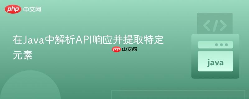 在Java中解析API响应并提取特定元素
