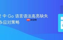 Coda 2 中 Go 语言语法高亮缺失的现状与应对策略