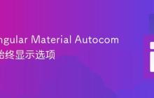 使用 Angular Material Autocomplete 始终显示选项