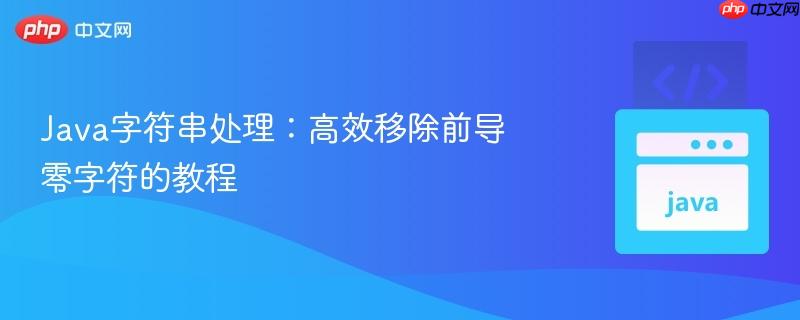 Java字符串处理：高效移除前导零字符的教程