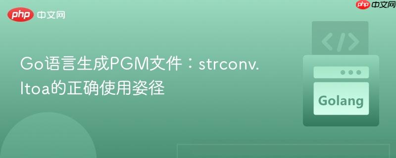 Go语言生成PGM文件:strconv.Itoa的正确使用姿径