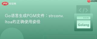 Go语言生成PGM文件：strconv.Itoa的正确使用姿径