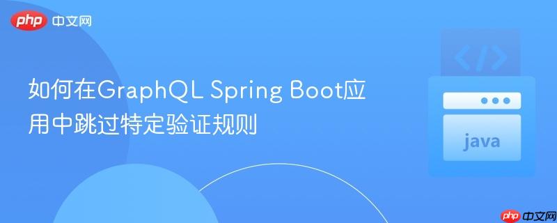 如何在GraphQL Spring Boot应用中跳过特定验证规则