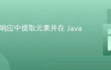 从 API 响应中提取元素并在 Java 中使用