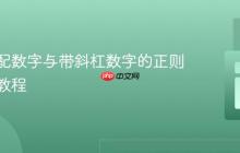 精确匹配数字与带斜杠数字的正则表达式教程