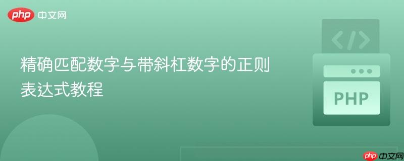 精确匹配数字与带斜杠数字的正则表达式教程