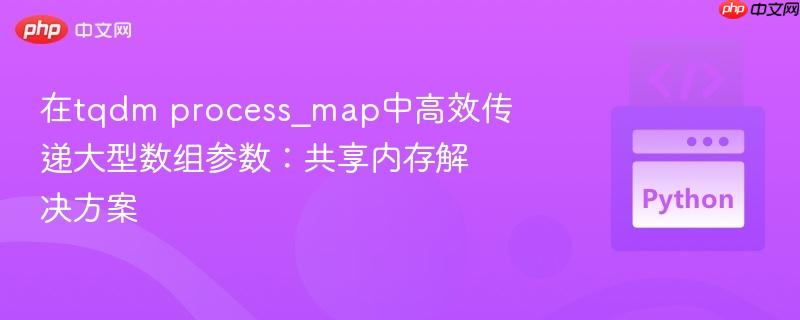 在tqdm process_map中高效传递大型数组参数:共享内存解决方案