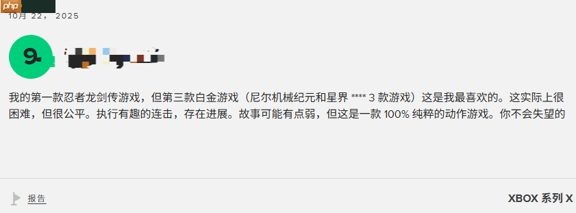 《忍者龙剑传4》M站玩家评分8.4分:音乐超赞 战斗太爽!