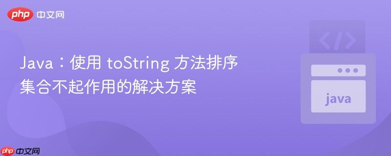 Java:使用 toString 方法排序集合不起作用的解决方案
