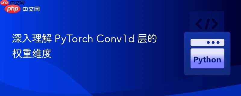 深入理解 PyTorch Conv1d 层的权重维度 深入理解 PyTorch Conv1d 层的权重维度