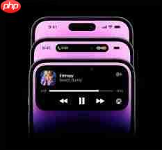 苹果iPhone15灵动岛如何设置