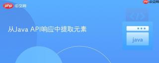从Java API响应中提取元素