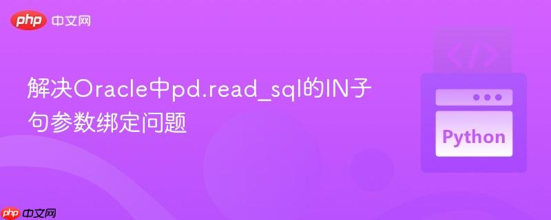 解决Oracle中pd.read_sql的IN子句参数绑定问题