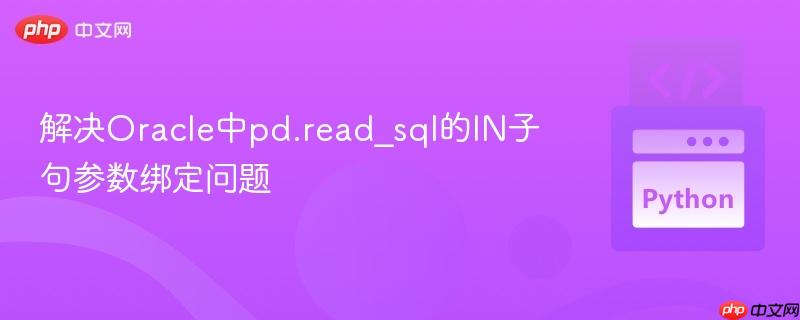 解决Oracle中pd.read_sql的IN子句参数绑定问题 解决Oracle中pd.read_sql的IN子句参数绑定问题