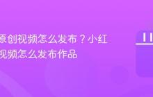 小红书原创视频怎么发布?小红书原创视频怎么发布作品