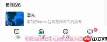 长佩阅读如何自定义封面