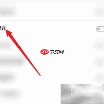清除Dark Browser缓存方法