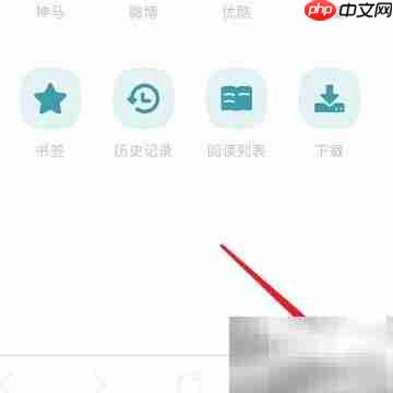 清除Dark Browser缓存方法