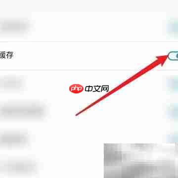 清除Dark Browser缓存方法