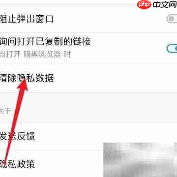 清除Dark Browser缓存方法
