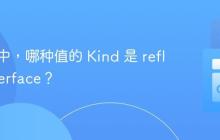 在 Go 中，哪种值的 Kind 是 reflect.Interface？