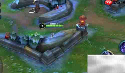 王者荣耀假胜率曝光真相