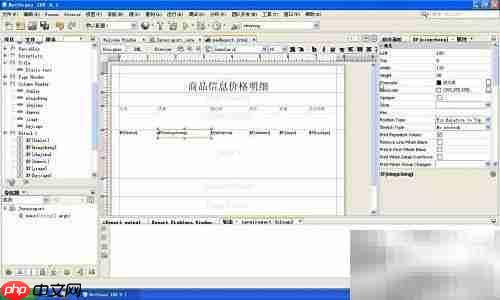 iReport设计Java报表
