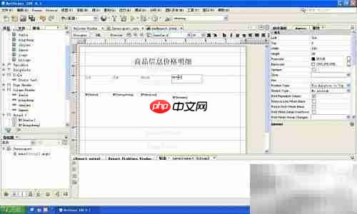 iReport设计Java报表
