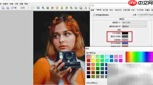 FastStone文字颜色设置方法