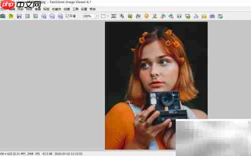 faststone文字颜色设置方法