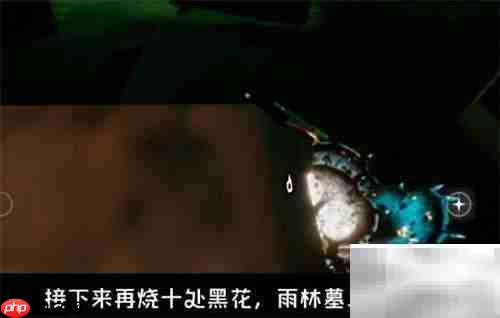 光遇2.10日常任务速通指南