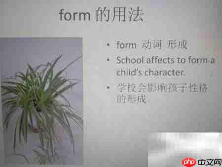 form的用法解析