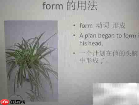 form的用法解析
