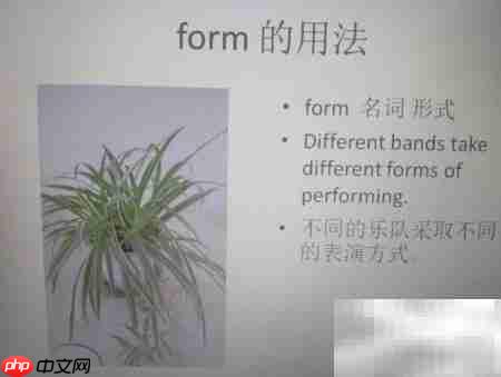 form的用法解析