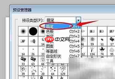 PS CS笔刷插件导入方法