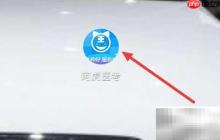 阿虎医考电子书订单查询指南