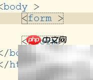 HTML5表单元素详解