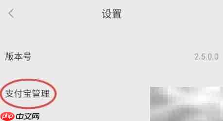 欢聊交友支付宝设置指南