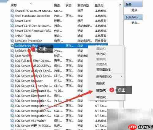 SW 2019许可获取失败