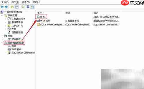 SW 2019许可获取失败